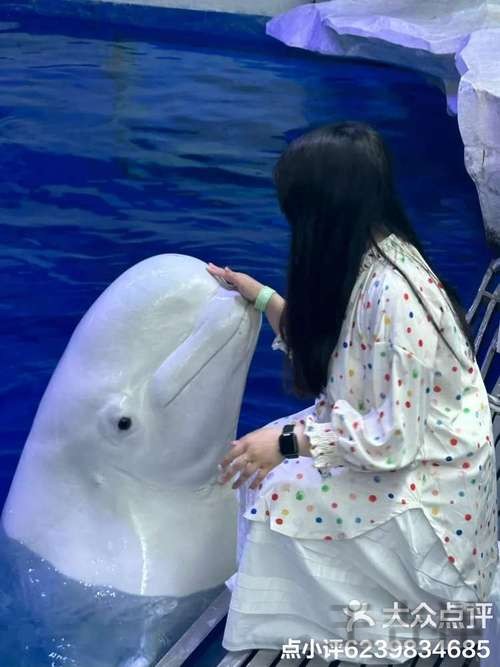 乐鱼在哪里玩更方便详细入口说明 乐鱼在哪里玩更方便详细入口说明